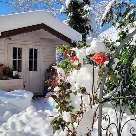 Alpencitynahe Apartment